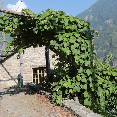 Appartement Casa Flora