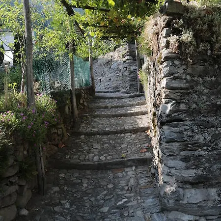 Casa Flora 公寓 Verdabbio