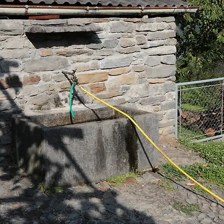 Casa Flora Verdabbio